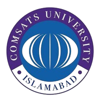 Bachelor of Computer Science from COMSATS University Islamabad