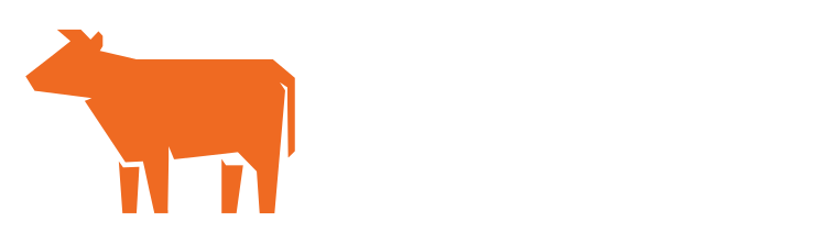 Project Lead @ Cowlar Design Studio